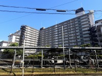 DEMO-01 1階部分ならではの専用庭（約20㎡）付き
専有面積：66㎡ LDK約10.0帖 東向き

センターリビングの3LDK
くつろげる和室あり

総戸数306戸の大規模マンション
イズミヤショッピングセンター昆陽店まで徒歩6分

リフォーム中（2026年9月末完成予定）
 ・システムキッチン新調
 ・ユニットバス新調
 ・洗面化粧台新調
 ・トイレ新調
 ・フローリング張替
 ・クロス張替  など